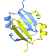 Double Psi Beta Barrel protein