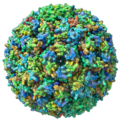 A molecular assembly